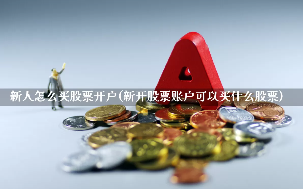 新人怎么买股票开户(新开股票账户可以买什么股票)_https://www.gfdzclz.com_深交所_第1张