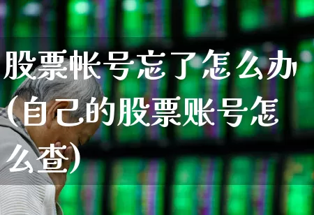 股票帐号忘了怎么办(自己的股票账号怎么查)_https://www.gfdzclz.com_深交所_第1张