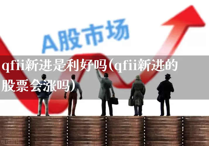 qfii新进是利好吗(qfii新进的股票会涨吗)_https://www.gfdzclz.com_科创板_第1张