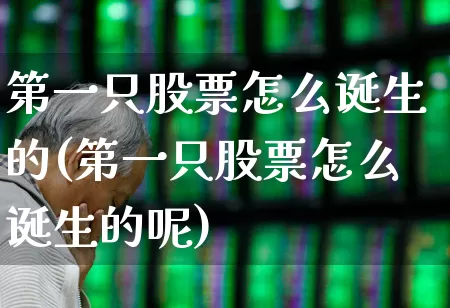 第一只股票怎么诞生的(第一只股票怎么诞生的呢)_https://www.gfdzclz.com_创业板_第1张