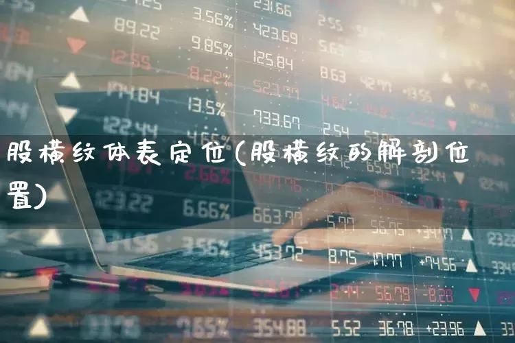 股横纹体表定位(股横纹的解剖位置)_https://www.gfdzclz.com_深交所_第1张