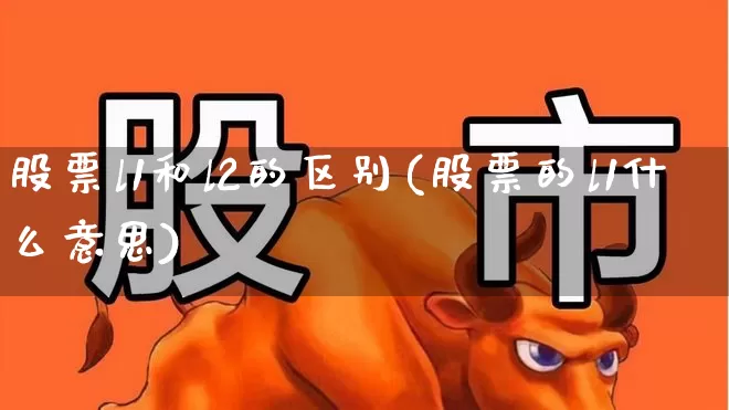 股票l1和l2的区别(股票的l1什么意思)_https://www.gfdzclz.com_北交所_第1张