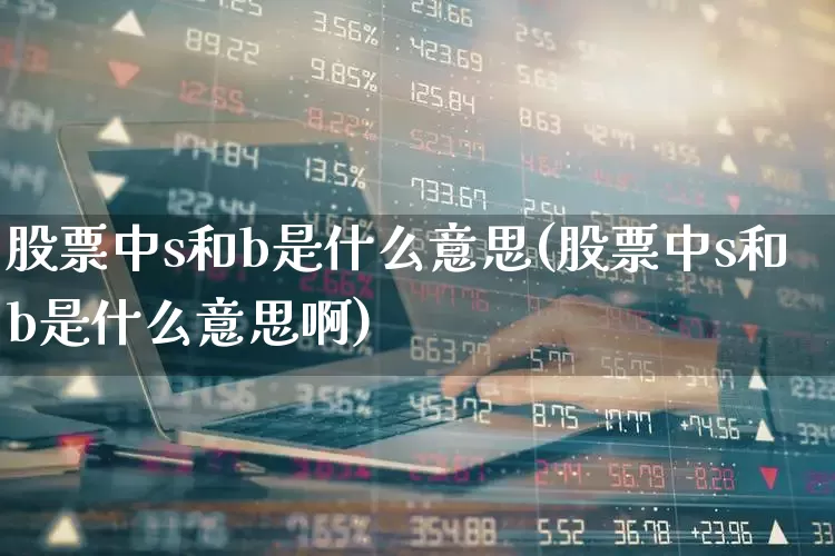 股票中s和b是什么意思(股票中s和b是什么意思啊)_https://www.gfdzclz.com_科创板_第1张
