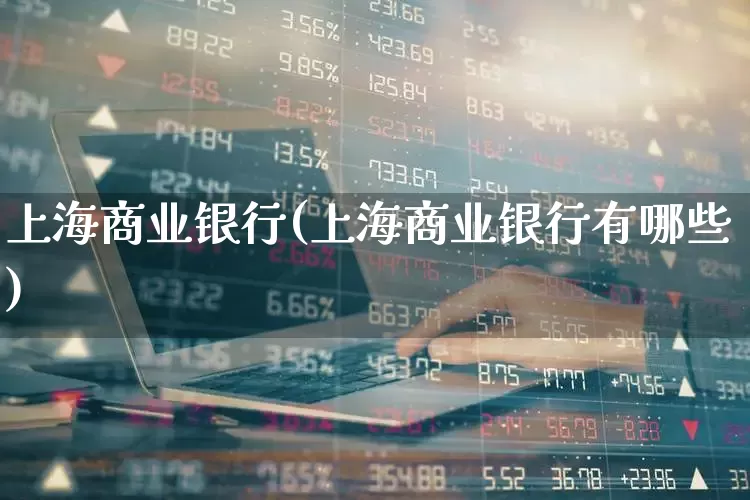 上海商业银行(上海商业银行有哪些)_https://www.gfdzclz.com_北交所_第1张