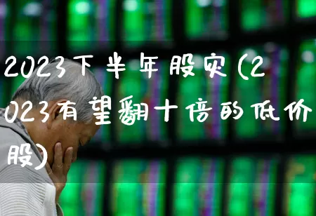 2023下半年股灾(2023有望翻十倍的低价股)_https://www.gfdzclz.com_北交所_第1张