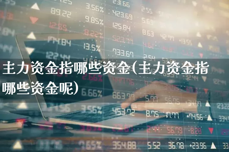 主力资金指哪些资金(主力资金指哪些资金呢)_https://www.gfdzclz.com_深交所_第1张
