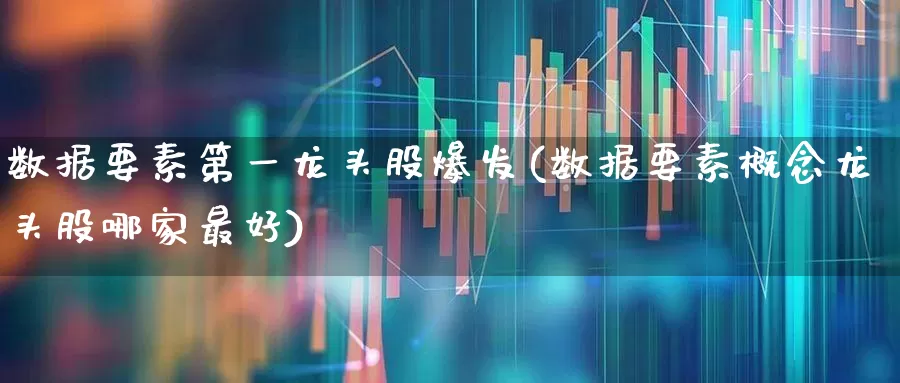 数据要素第一龙头股爆发(数据要素概念龙头股哪家最好)_https://www.gfdzclz.com_深交所_第1张