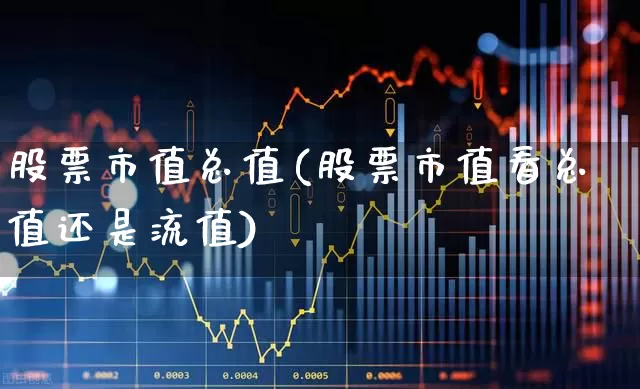 股票市值总值(股票市值看总值还是流值)_https://www.gfdzclz.com_上交所_第1张