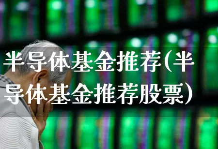 半导体基金推荐(半导体基金推荐股票)_https://www.gfdzclz.com_深交所_第1张
