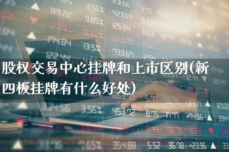 股权交易中心挂牌和上市区别(新四板挂牌有什么好处)_https://www.gfdzclz.com_上交所_第1张