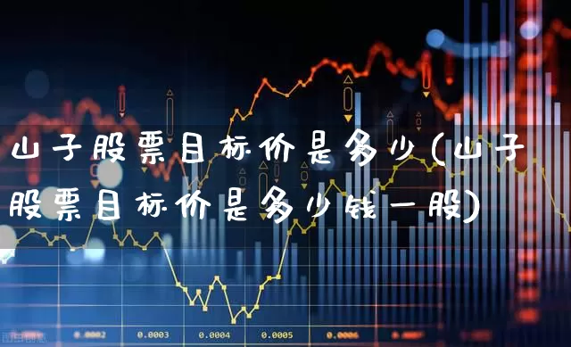 山子股票目标价是多少(山子股票目标价是多少钱一股)_https://www.gfdzclz.com_科创板_第1张