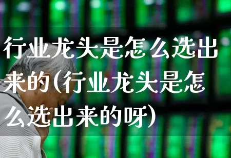 行业龙头是怎么选出来的(行业龙头是怎么选出来的呀)_https://www.gfdzclz.com_深交所_第1张