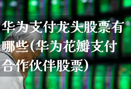 华为支付龙头股票有哪些(华为花瓣支付合作伙伴股票)_https://www.gfdzclz.com_创业板_第1张