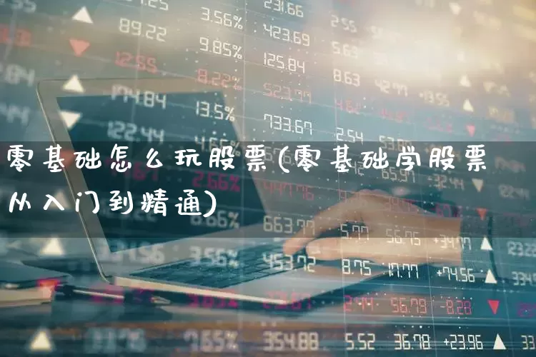 零基础怎么玩股票(零基础学股票从入门到精通)_https://www.gfdzclz.com_上交所_第1张