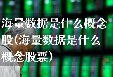 海量数据是什么概念股(海量数据是什么概念股票)_https://www.gfdzclz.com_深交所_第1张