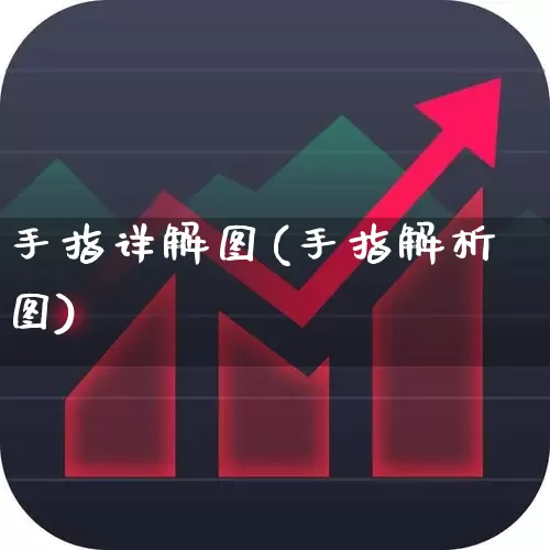 手指详解图(手指解析图)_https://www.gfdzclz.com_上交所_第1张