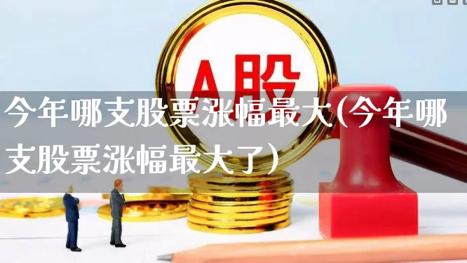 今年哪支股票涨幅最大(今年哪支股票涨幅最大了)_https://www.gfdzclz.com_深交所_第1张