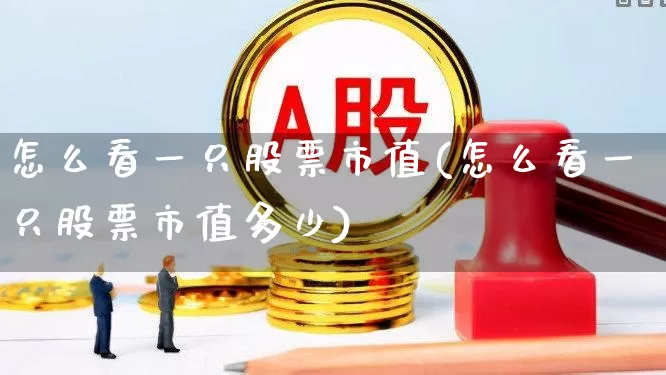 怎么看一只股票市值(怎么看一只股票市值多少)_https://www.gfdzclz.com_创业板_第1张