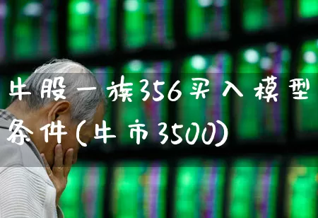 牛股一族356买入模型条件(牛市3500)_https://www.gfdzclz.com_深交所_第1张