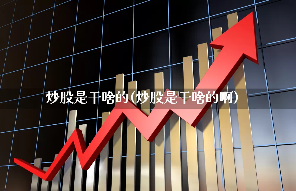炒股是干啥的(炒股是干啥的啊)_https://www.gfdzclz.com_创业板_第1张