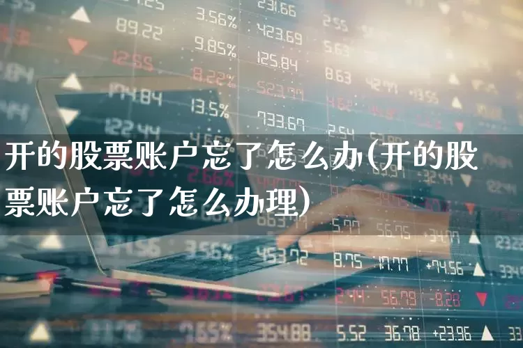 开的股票账户忘了怎么办(开的股票账户忘了怎么办理)_https://www.gfdzclz.com_北交所_第1张