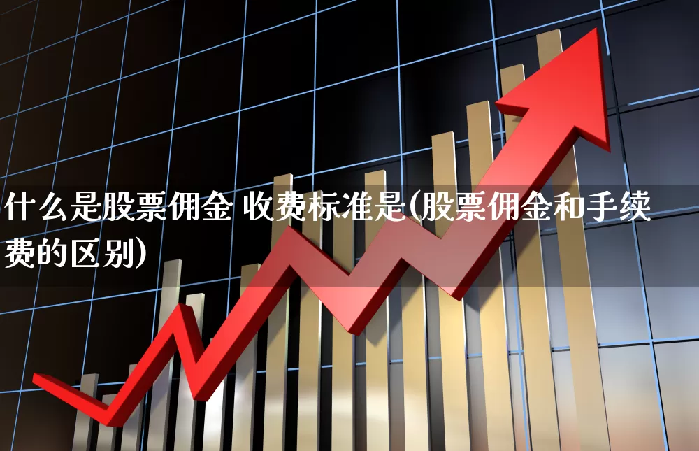 什么是股票佣金 收费标准是(股票佣金和手续费的区别)_https://www.gfdzclz.com_创业板_第1张