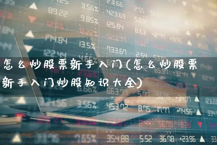 怎么炒股票新手入门(怎么炒股票新手入门炒股知识大全)_https://www.gfdzclz.com_深交所_第1张