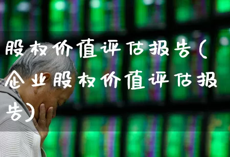 股权价值评估报告(企业股权价值评估报告)_https://www.gfdzclz.com_深交所_第1张