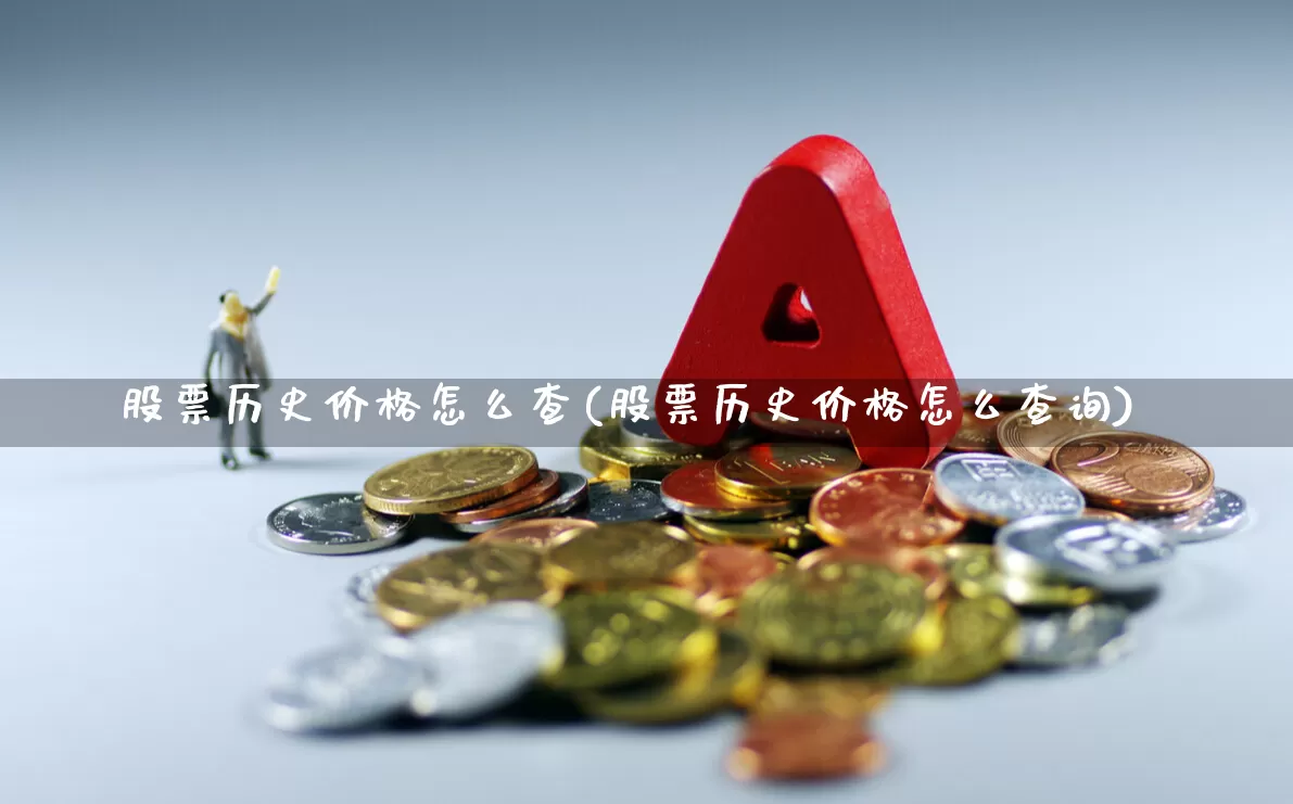 股票历史价格怎么查(股票历史价格怎么查询)_https://www.gfdzclz.com_深交所_第1张