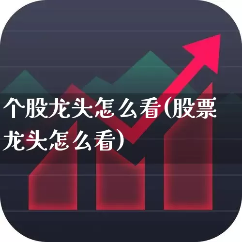 个股龙头怎么看(股票龙头怎么看)_https://www.gfdzclz.com_创业板_第1张