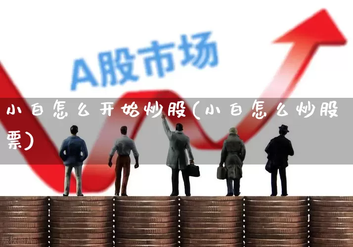 小白怎么开始炒股(小白怎么炒股票)_https://www.gfdzclz.com_深交所_第1张