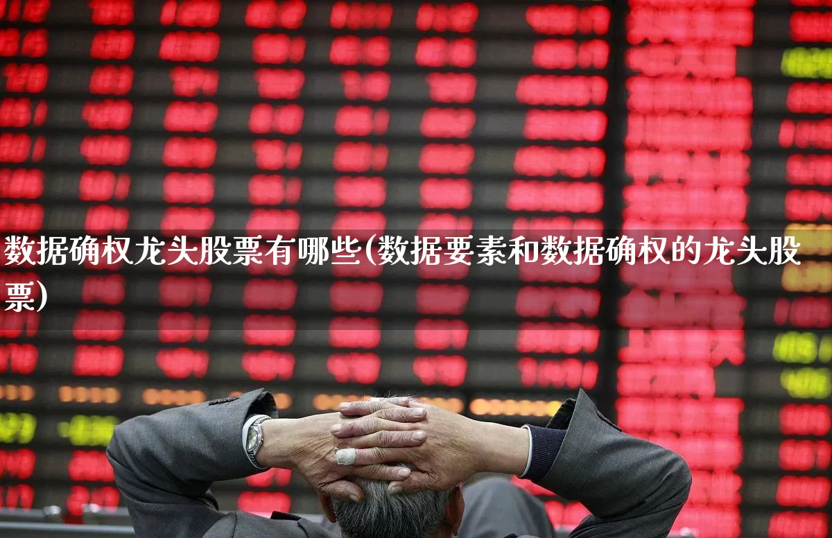 数据确权龙头股票有哪些(数据要素和数据确权的龙头股票)_https://www.gfdzclz.com_创业板_第1张