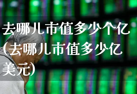 去哪儿市值多少个亿(去哪儿市值多少亿美元)_https://www.gfdzclz.com_上交所_第1张