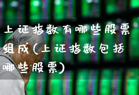 上证指数有哪些股票组成(上证指数包括哪些股票)_https://www.gfdzclz.com_深交所_第1张