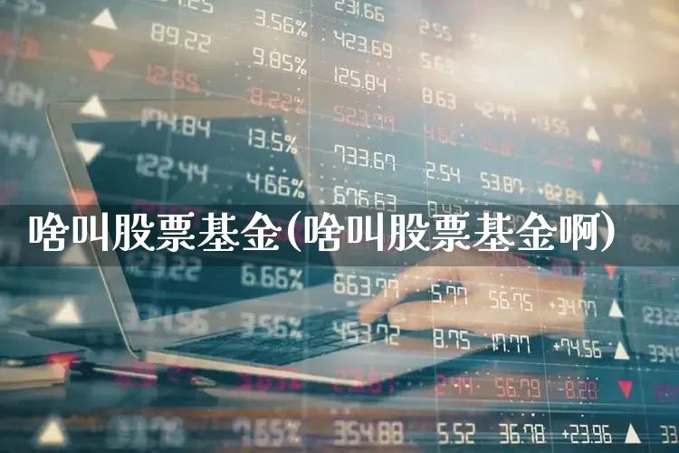 啥叫股票基金(啥叫股票基金啊)_https://www.gfdzclz.com_科创板_第1张