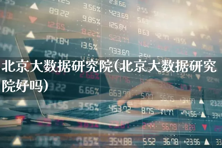 北京大数据研究院(北京大数据研究院好吗)_https://www.gfdzclz.com_上交所_第1张