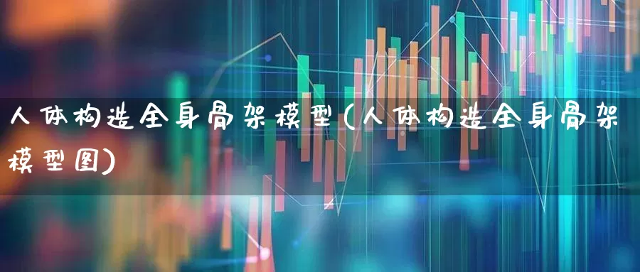 人体构造全身骨架模型(人体构造全身骨架模型图)_https://www.gfdzclz.com_北交所_第1张