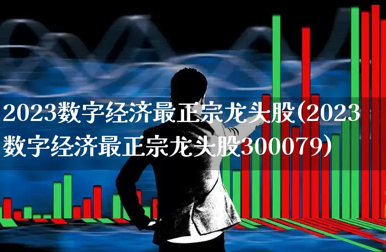 2023数字经济最正宗龙头股(2023数字经济最正宗龙头股300079)_https://www.gfdzclz.com_北交所_第1张