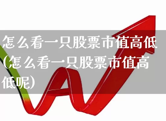 怎么看一只股票市值高低(怎么看一只股票市值高低呢)_https://www.gfdzclz.com_上交所_第1张