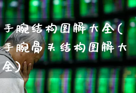 手腕结构图解大全(手腕骨头结构图解大全)_https://www.gfdzclz.com_上交所_第1张