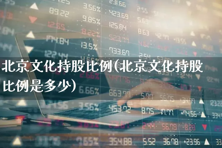 北京文化持股比例(北京文化持股比例是多少)_https://www.gfdzclz.com_科创板_第1张