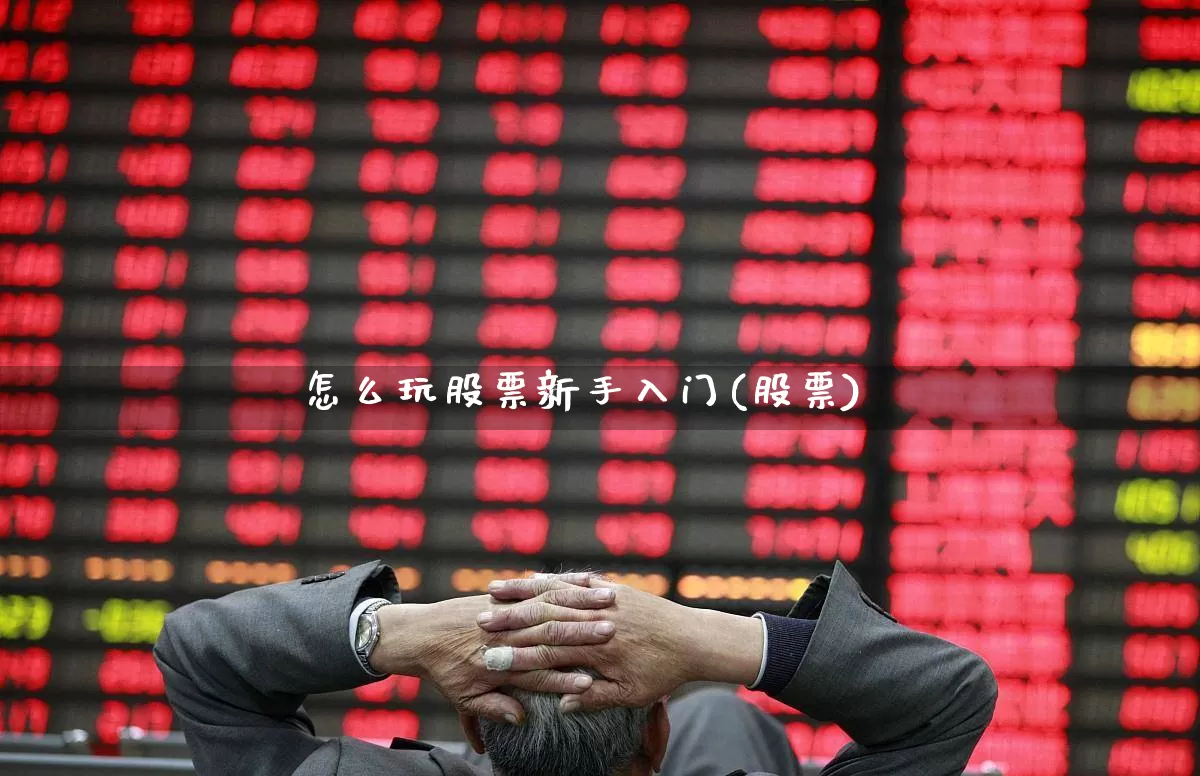 怎么玩股票新手入门(股票)_https://www.gfdzclz.com_上交所_第1张