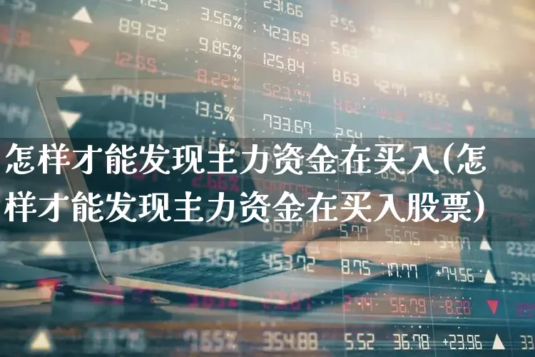 怎样才能发现主力资金在买入(怎样才能发现主力资金在买入股票)_https://www.gfdzclz.com_深交所_第1张