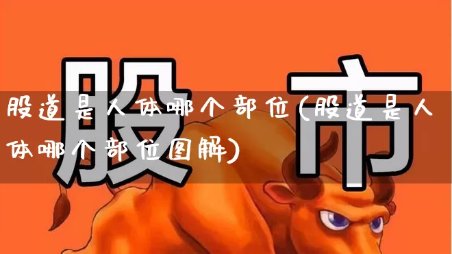 股道是人体哪个部位(股道是人体哪个部位图解)_https://www.gfdzclz.com_科创板_第1张