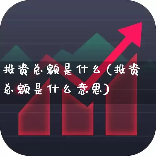 投资总额是什么(投资总额是什么意思)_https://www.gfdzclz.com_北交所_第1张