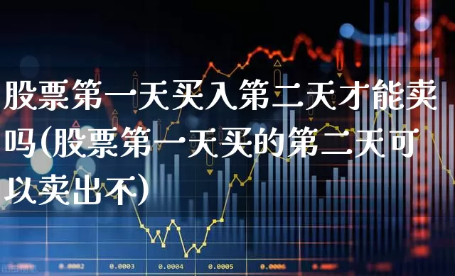 股票第一天买入第二天才能卖吗(股票第一天买的第二天可以卖出不)_https://www.gfdzclz.com_上交所_第1张