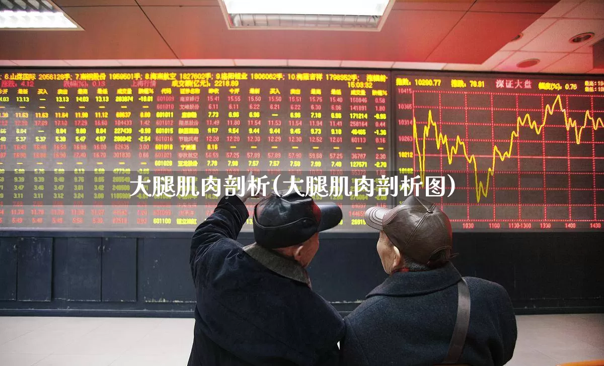 大腿肌肉剖析(大腿肌肉剖析图)_https://www.gfdzclz.com_北交所_第1张
