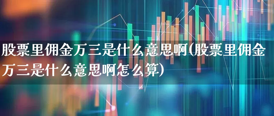 股票里佣金万三是什么意思啊(股票里佣金万三是什么意思啊怎么算)_https://www.gfdzclz.com_上交所_第1张