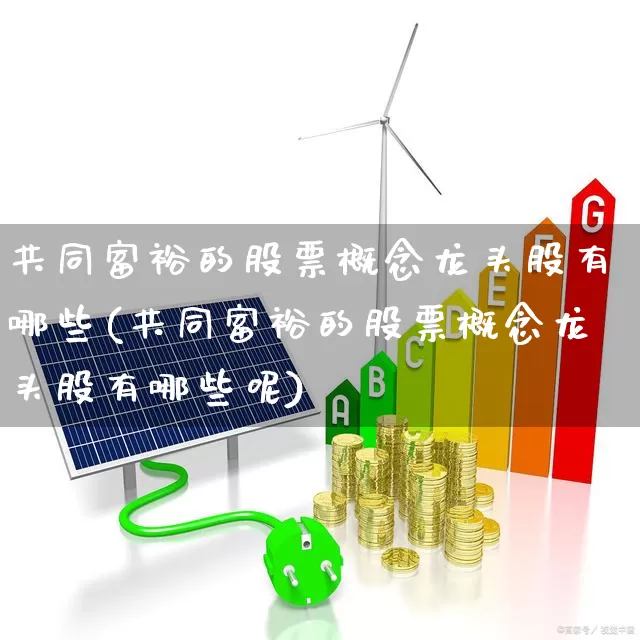 共同富裕的股票概念龙头股有哪些(共同富裕的股票概念龙头股有哪些呢)_https://www.gfdzclz.com_上交所_第1张