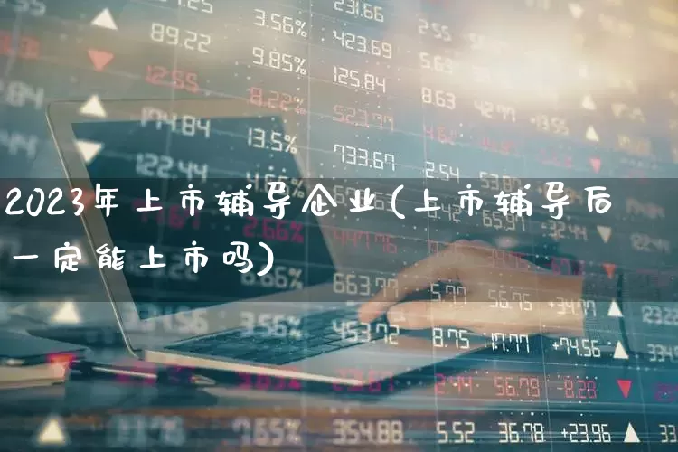 2023年上市辅导企业(上市辅导后一定能上市吗)_https://www.gfdzclz.com_上交所_第1张